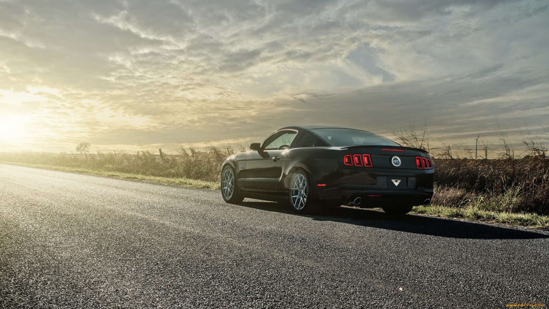 , mustang, , , , 